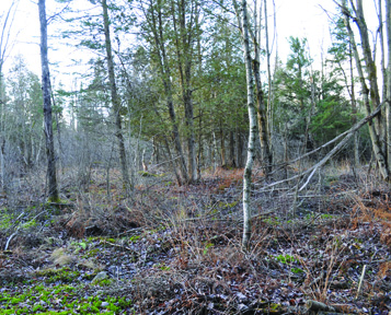 sud-ouest du sentier