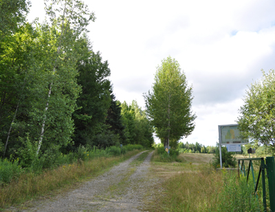 entrée de la forêt jardinée